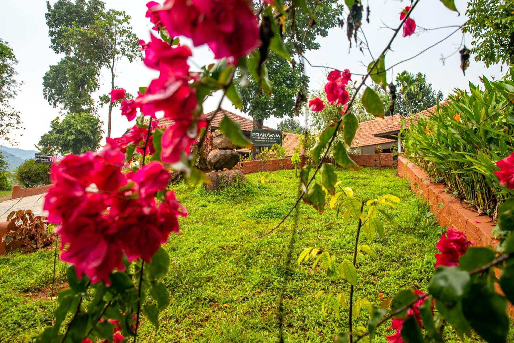 Pranavam Resort & Spa Tariyod Bagian luar foto